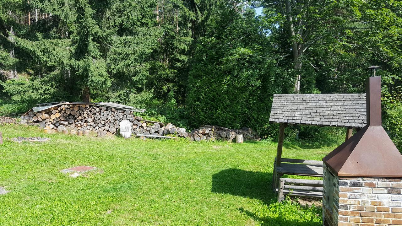 Malebna Chalupa U Javorniku Na Sumave Vacov Buitenkant foto